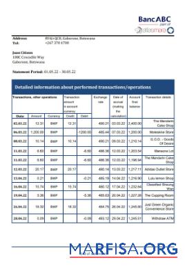 Realistic Botswana Bank ABC bank statement excel example